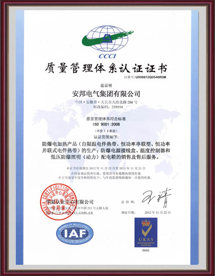 ISO9001质量体系认证中文版