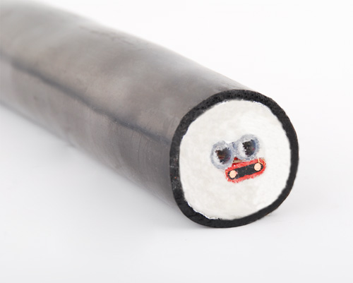 CEMS电厂烟气采样复合管温控安装指南-技术支持(图1)